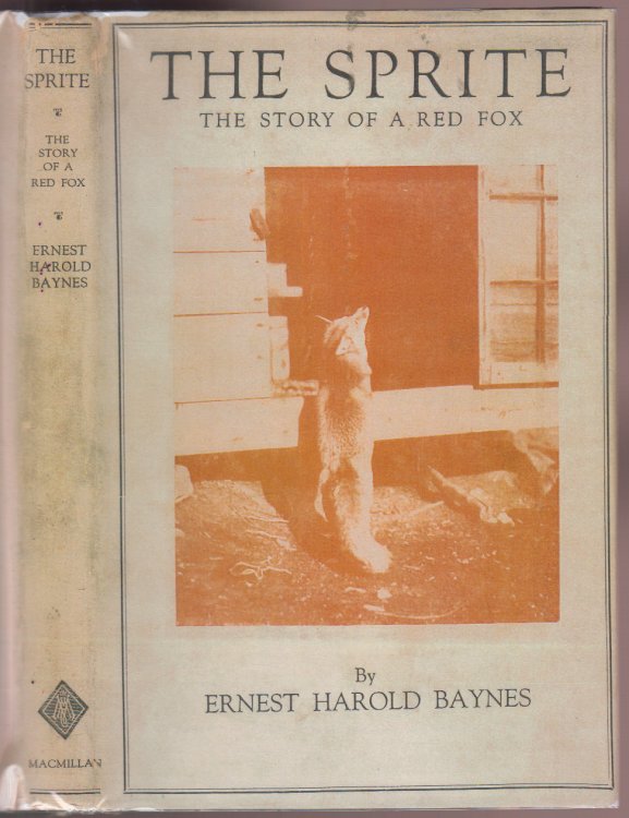 The Sprite The Story of Red Fox