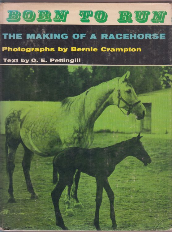 Born to Run: The Making of a Race Horse