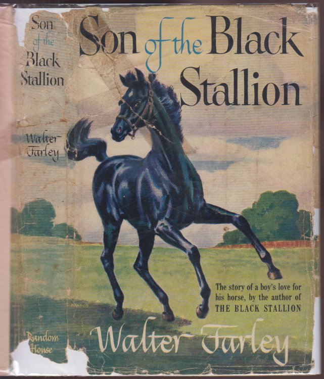 Son of the Black Stallion