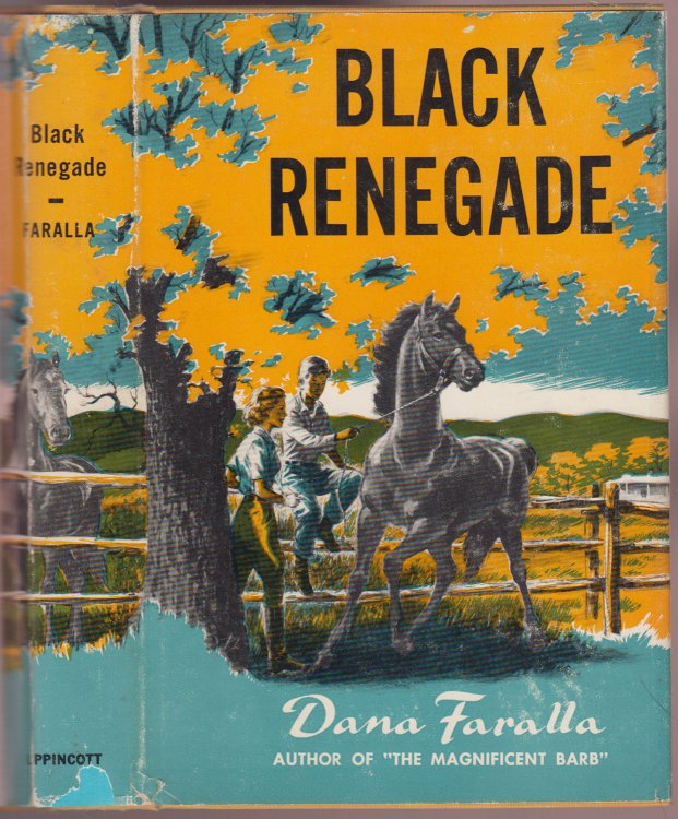 Black Renegade