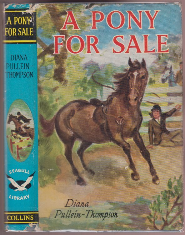 A Pony for Sale