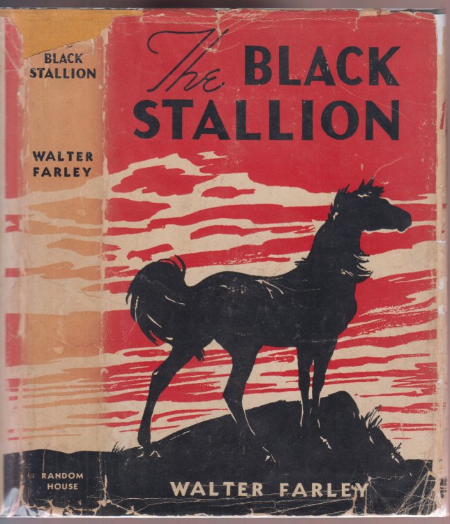 Image for The Black Stallion The Black Stallion