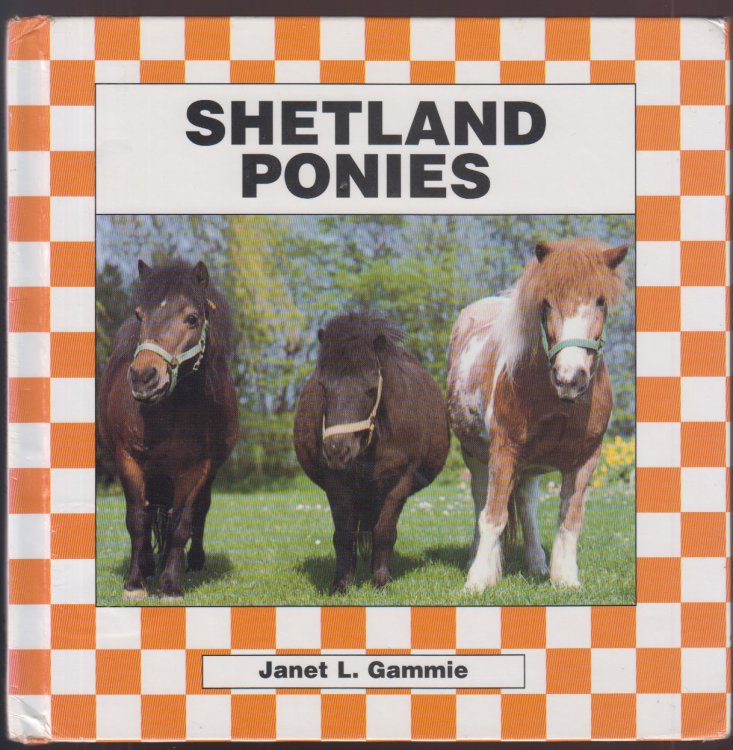 Shetland Ponies (Horses)