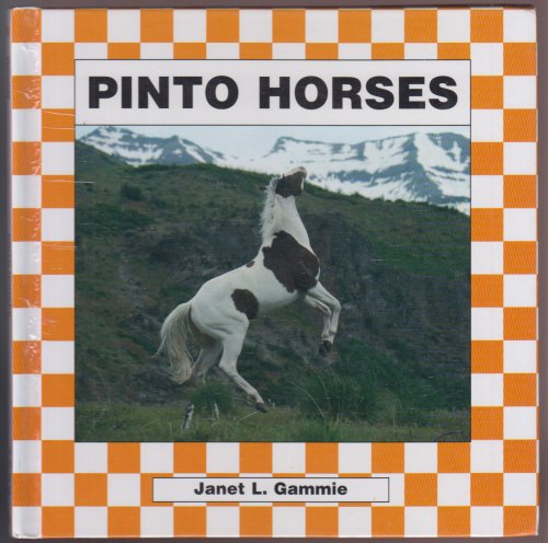 Pinto Horses