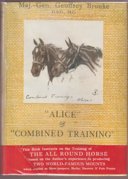 Alice & Combined Training A Tale of Two Horses