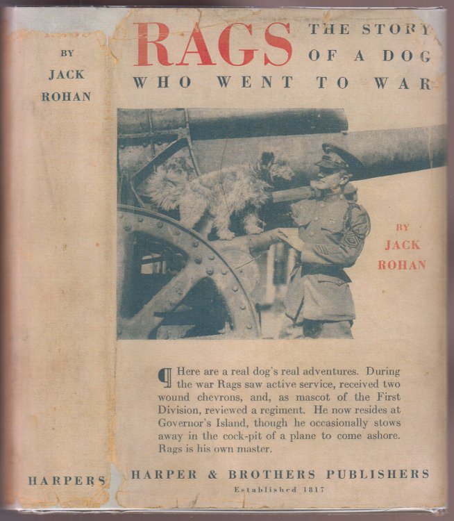 Rags The Story of a Dog Who Went to War