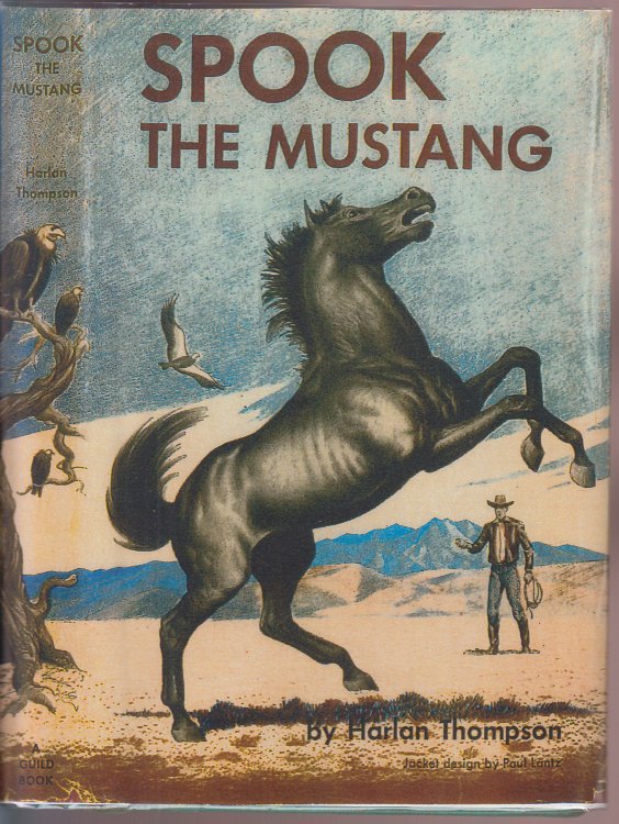 Spook the Mustang