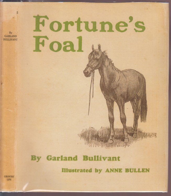 Fortunes Foal