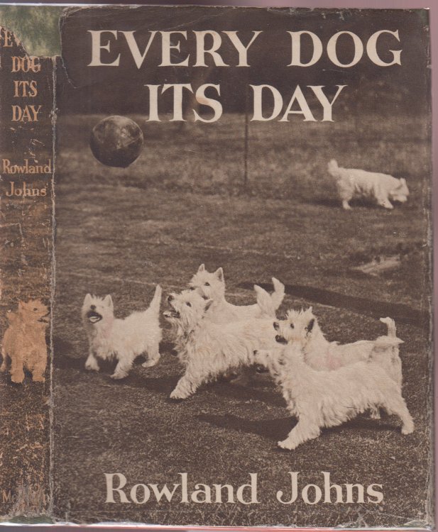 Every Dog Its Day