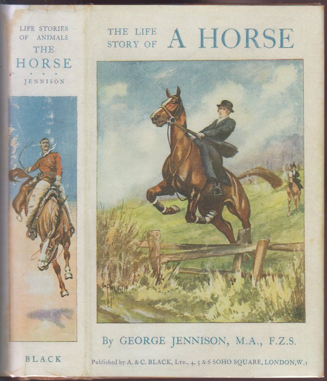 The Life Story of a Horse