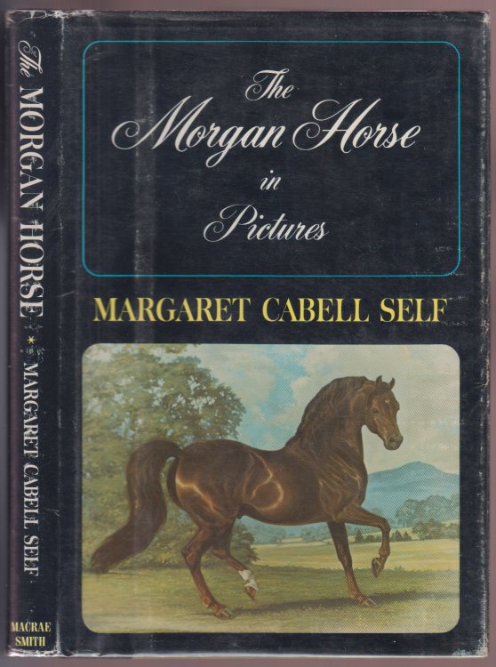 The Morgan Horse in Pictures