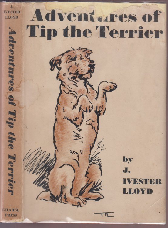 Adventures of Tip the Terrier