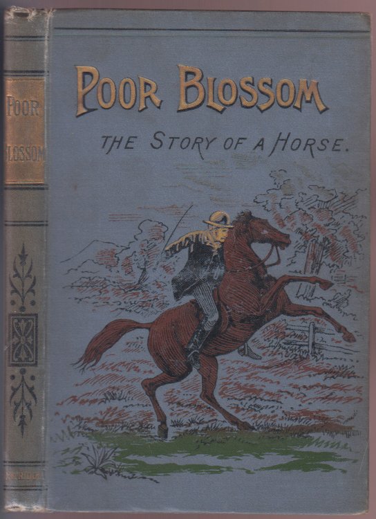 Poor Blossom The Story of a Horse