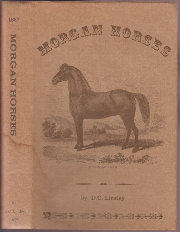 Morgan Horses A Premium Essay on the Origin, History, and Characteristics of This Remarkable American Breed of Horses