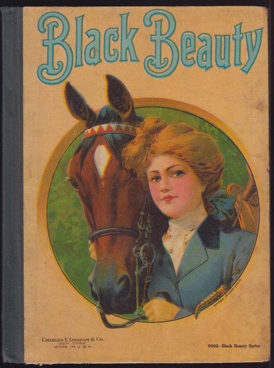 Black Beauty Rewritten For Children