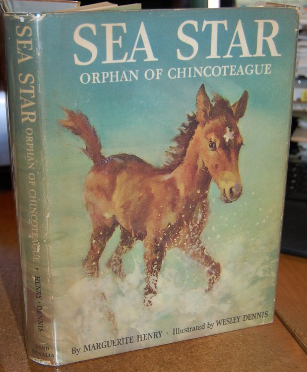 Sea Star Orphan of Chincoteague