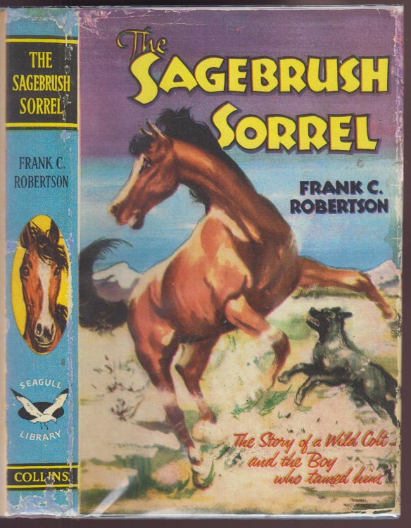 The Sagebrush Sorrel