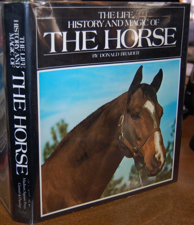 The Life, History and Magic of the Horse