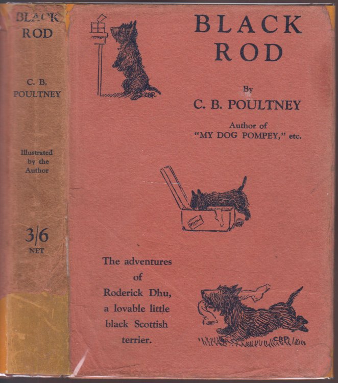 Black Rod