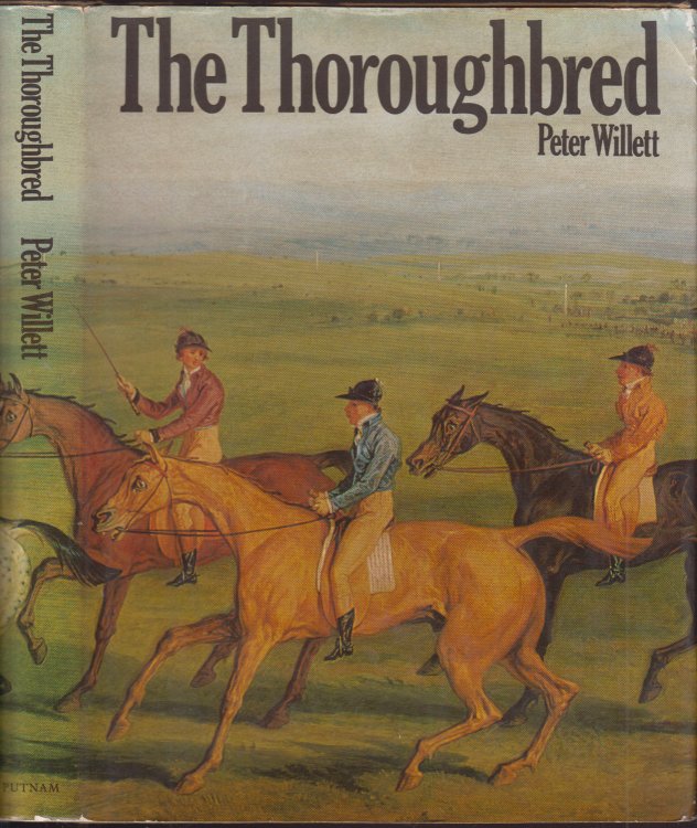 The Thoroughbred