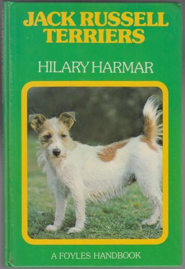 Jack Russell Terriers