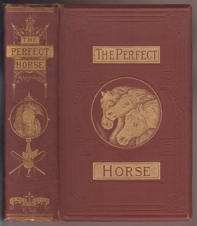 Image for The Perfect Horse The Perfect Horse
