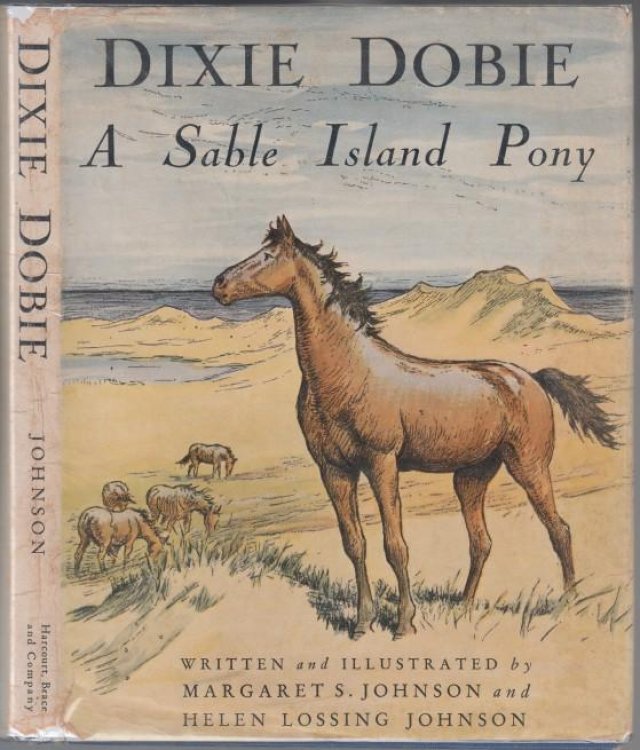 Dixie Dobie A Sable Island Pony