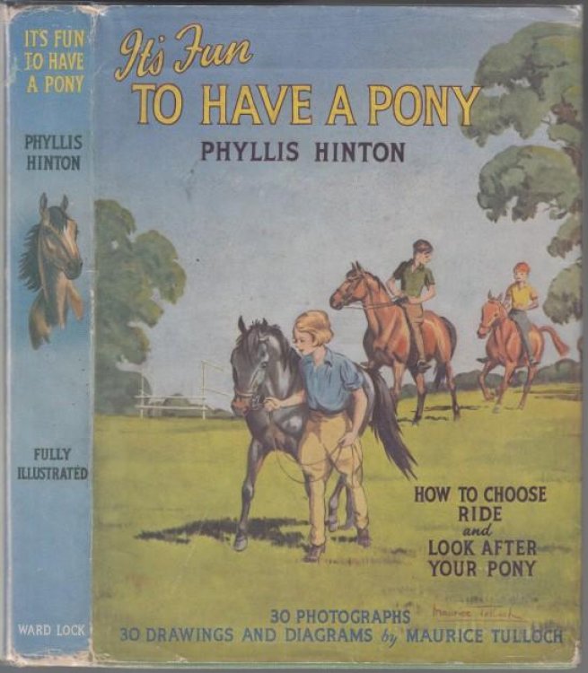 It's Fun to Have a Pony