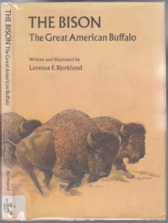 The Bison The Great American Buffalo