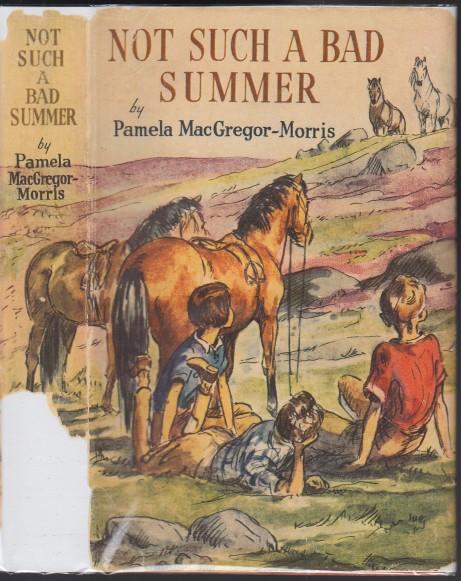 Not Such A Bad Summer A Story Of Dartmoor