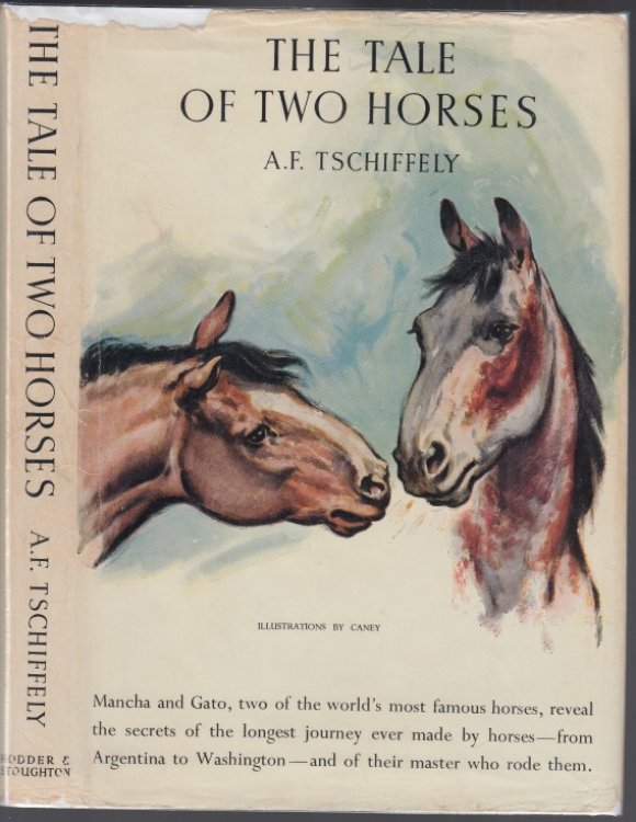 The Tale of Two Horses