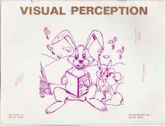 Visual Perception