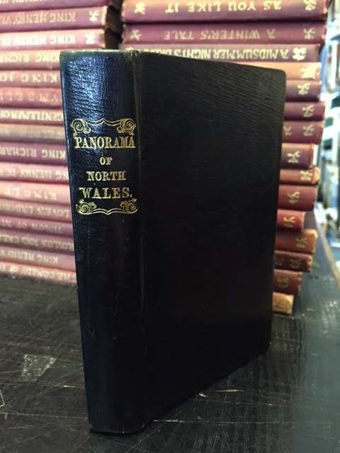 Panorama of the Beauties, Curiosities and Antiquities of North Wales, Exhibited in it Mountains, Vallies, Waterfalls. Intended as a Pocket Companion to the Tourist and Traveller