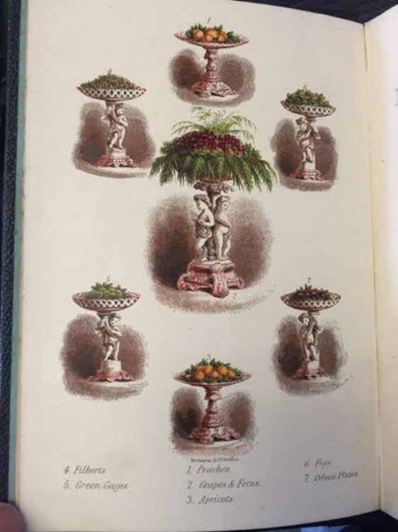 Warne's Model Cookery With Complete Instructions In Household Management