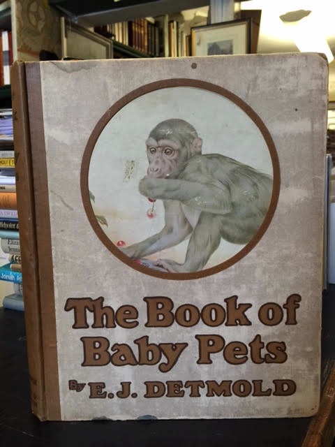 The Book of Baby Pets