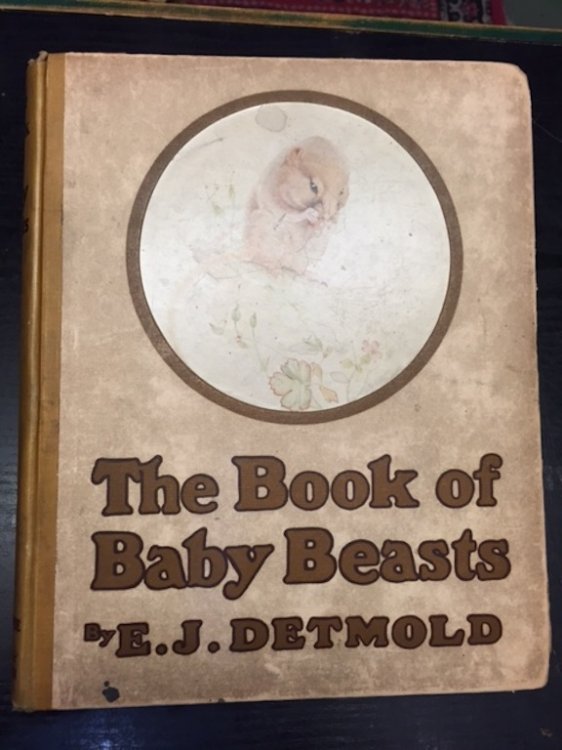 The Book of Baby Beasts