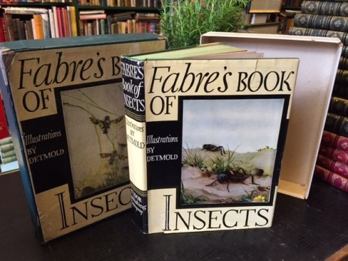 Fabre's Book of Insects
