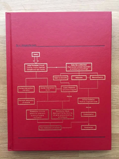 Theories, Models, Methods, Approaches, Assumptions, Results and Findings