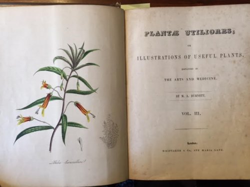 Plantae Utiliores, Or Illustrations of Useful Plants, Employed in the Arts and Medicine. Vol. III and Vol. IV