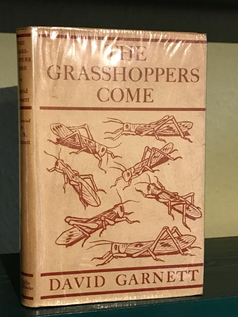 The Grasshoppers Come