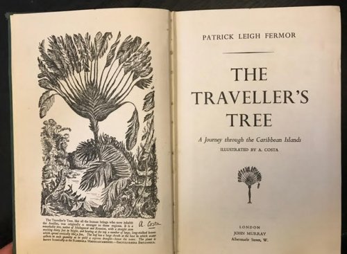Image for The Traveller's Tree. A Journey Through the Caribbean Islands The Traveller's Tree. A Journey Through the Caribbean Islands