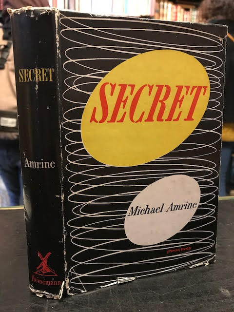 Image for Secret : A Novel Secret : A Novel