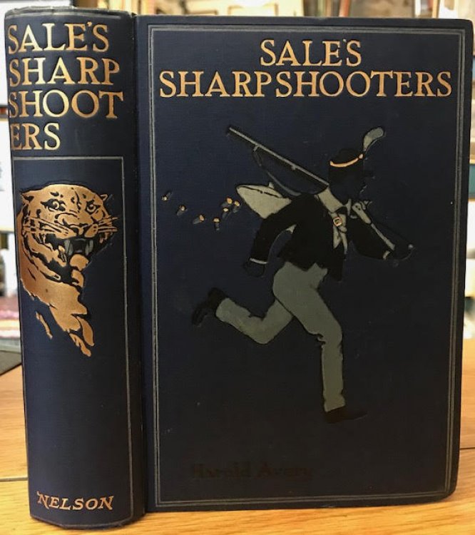 Sale's Sharpshooters : The Historical Records of a Very Irregular Corps