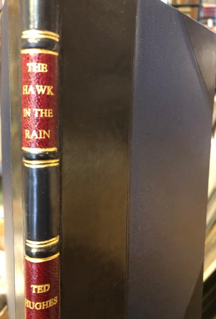Hawk in the Rain