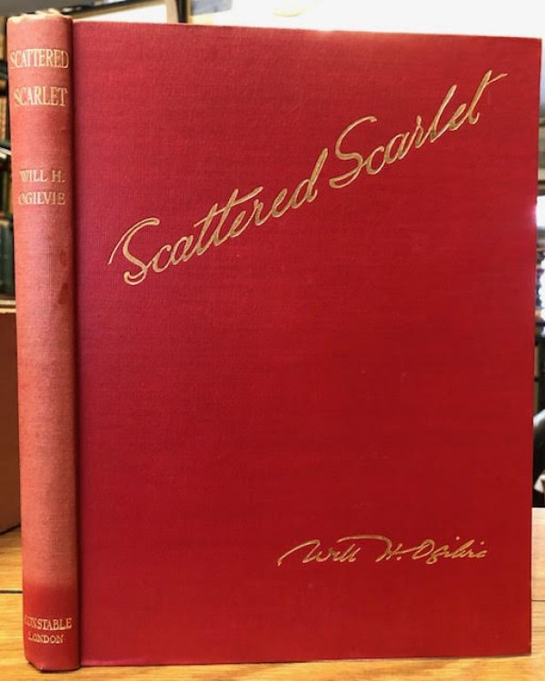 Scattered Scarlet