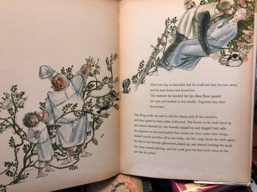 The Sleeping Beauty : A Picturebook by Felix Hoffmann