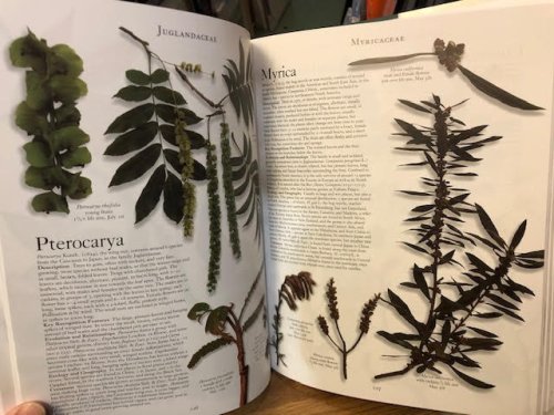 The Botanical Garden. Volume 1: Trees and Shrubs and Volume 2: Perennials and Annuals. Two Volume Set