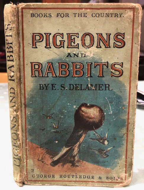 Pigeons and Rabbits in Their Wild, Domestic and Captive States