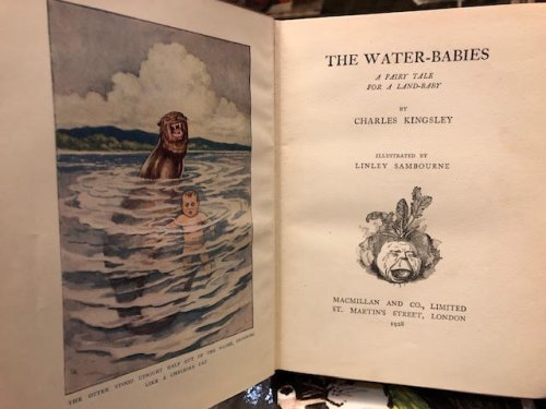 The Water-Babies : A Fairy Tale for a Land-Baby