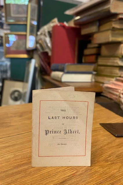 The Last Hours Of Prince Albert, An Extract.